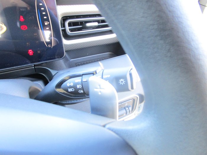 2025 GWM Cannon Premium