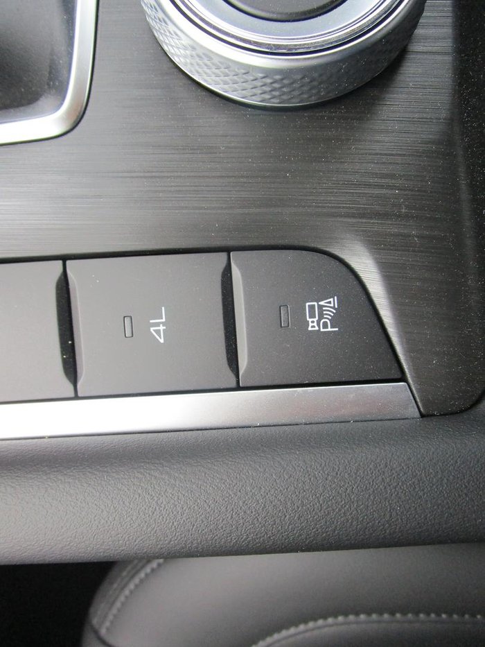 2025 GWM Cannon Vanta