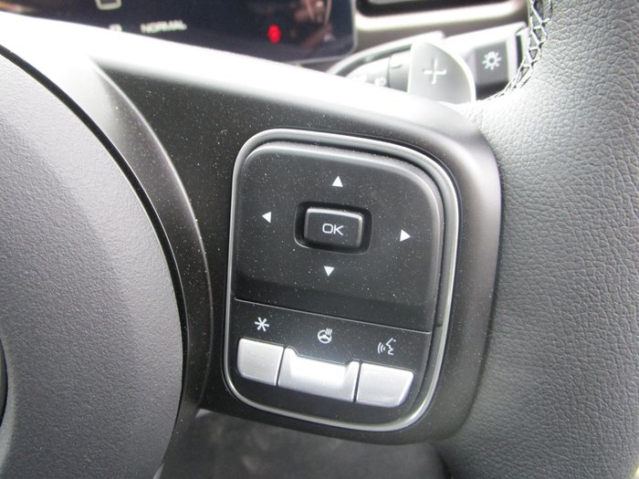 2025 GWM Cannon Vanta