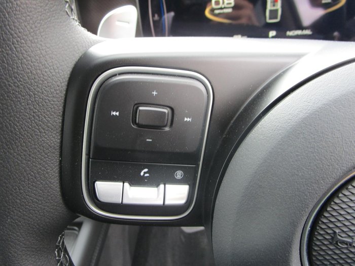 2025 GWM Cannon Vanta