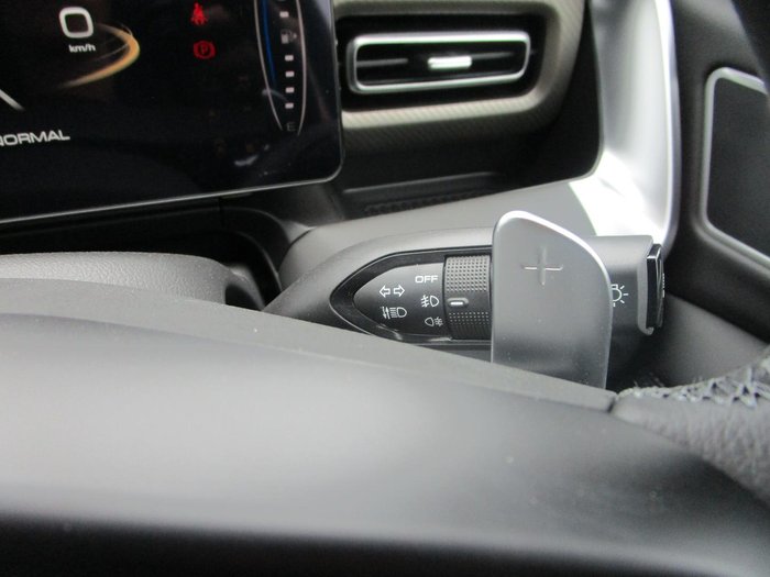 2025 GWM Cannon Ultra