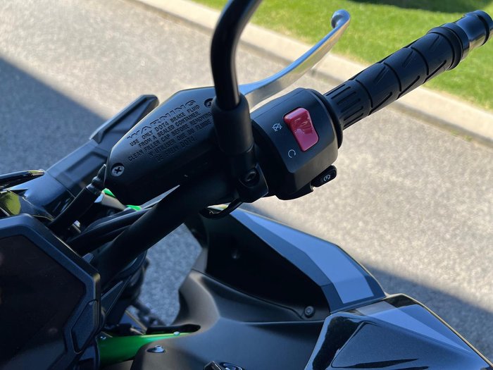 2020 Kawasaki Z900 (ZR900B) Z Green