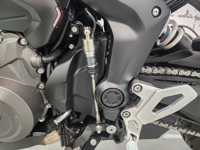 2025 Triumph Tiger Sport 800 Tiger