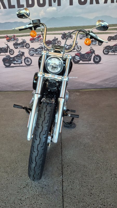 2022 Harley-davidson FXST SOFTAIL STANDARD (107) Black