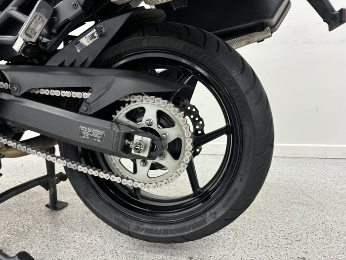 2019 Kawasaki VERSYS 1000 SE (KLZ1000) Green