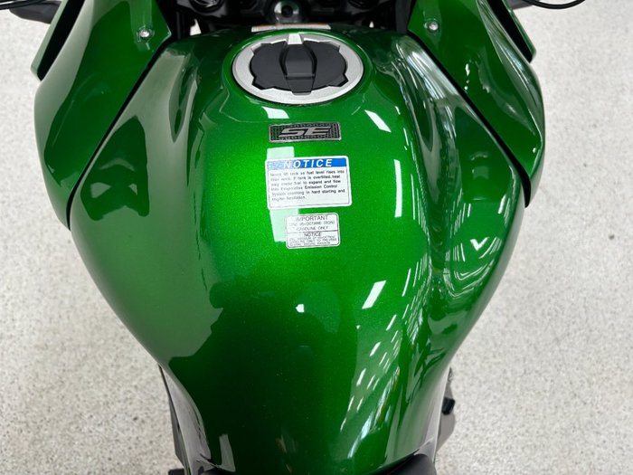 2019 Kawasaki VERSYS 1000 SE (KLZ1000) Green