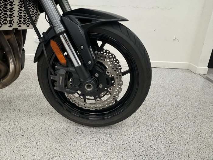 2019 Kawasaki VERSYS 1000 SE (KLZ1000) Green