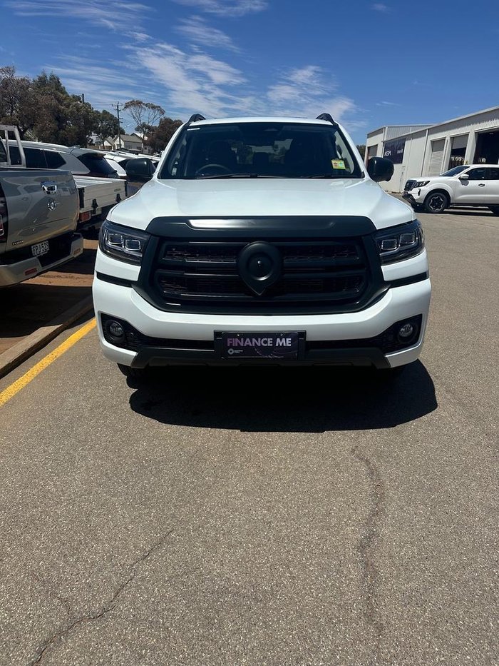 2025 GWM Cannon Vanta