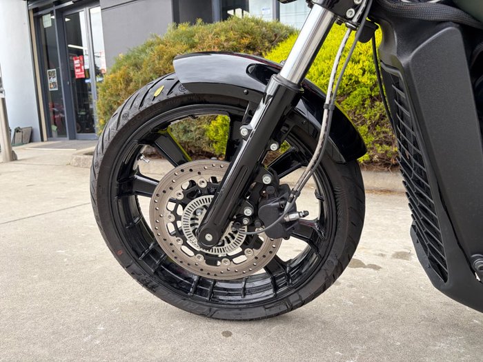2023 Indian SCOUT ROGUE Green