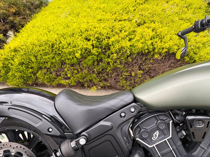 2023 Indian SCOUT ROGUE Green