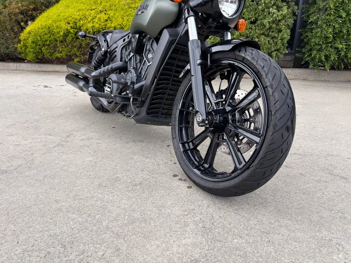 2023 Indian SCOUT ROGUE Green