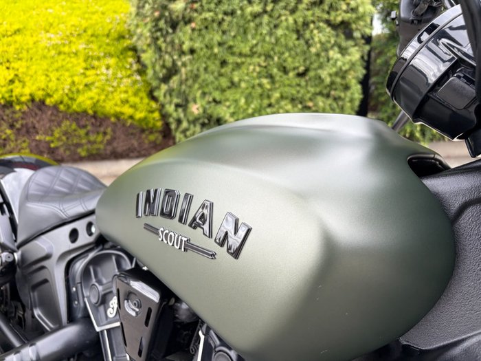 2023 Indian SCOUT ROGUE Green