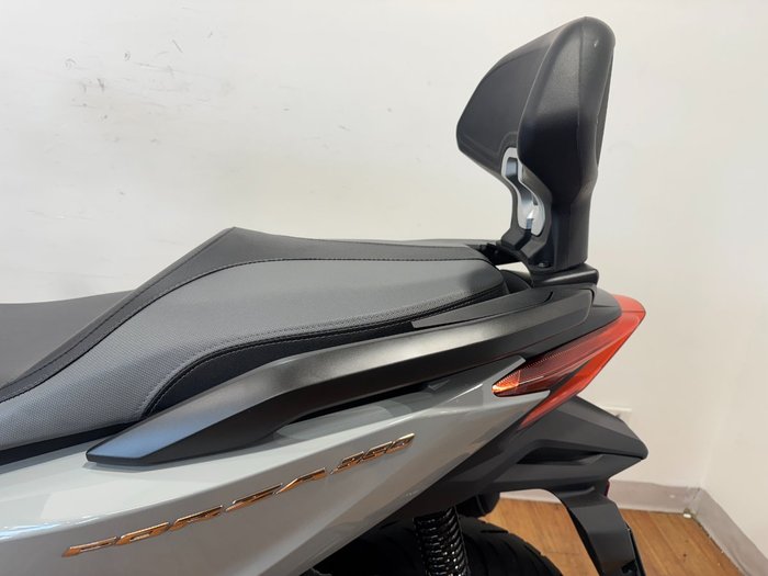 2023 Honda FORZA 350 (NSS350A) GREY