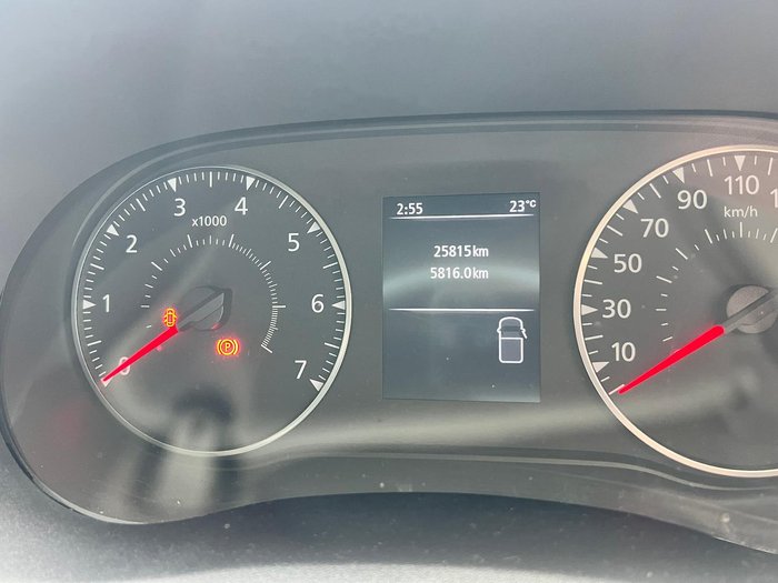 2022 Windsor Daintree