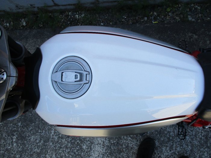 2019 DUCATI SCRAMBLER DESERT SLED WHITE