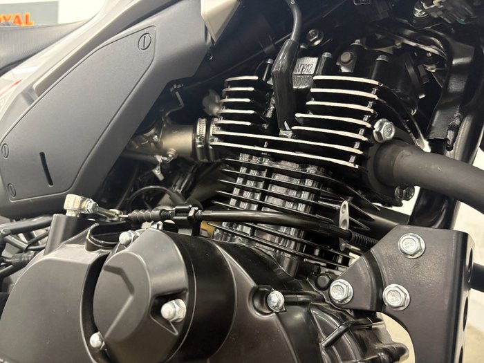 2024 CFMOTO 2024 Cf Moto 125CC PAPIO XO RACER Red