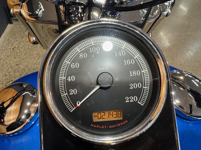 2017 Harley-davidson FLSTN SOFTAIL DELUXE Blue
