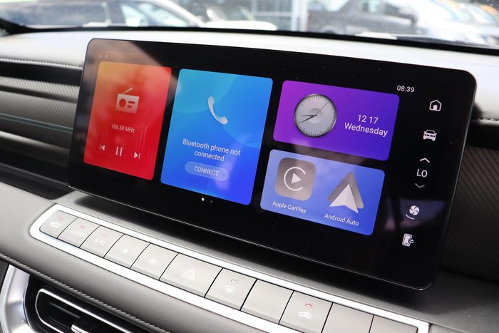 2025 GWM Cannon Premium