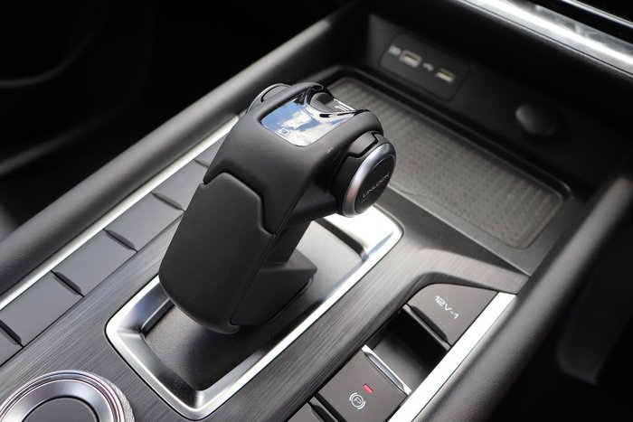 2025 GWM Cannon Premium