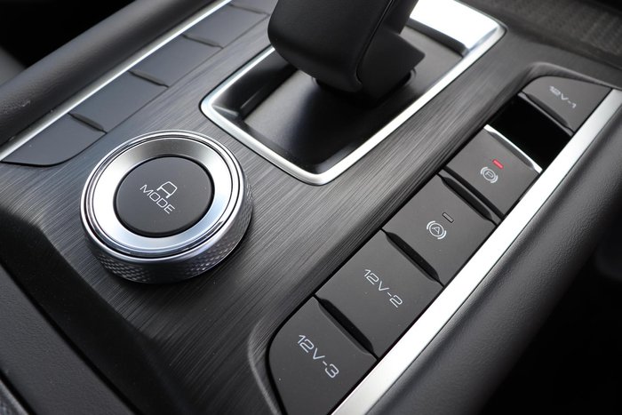 2025 GWM Cannon Premium