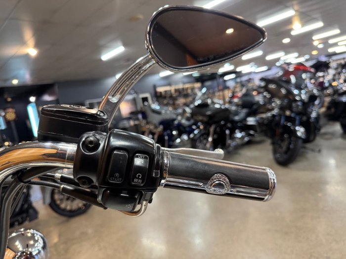 2009 Harley-davidson FLSTC HERITAGE SOFTAIL CLASSIC Purple