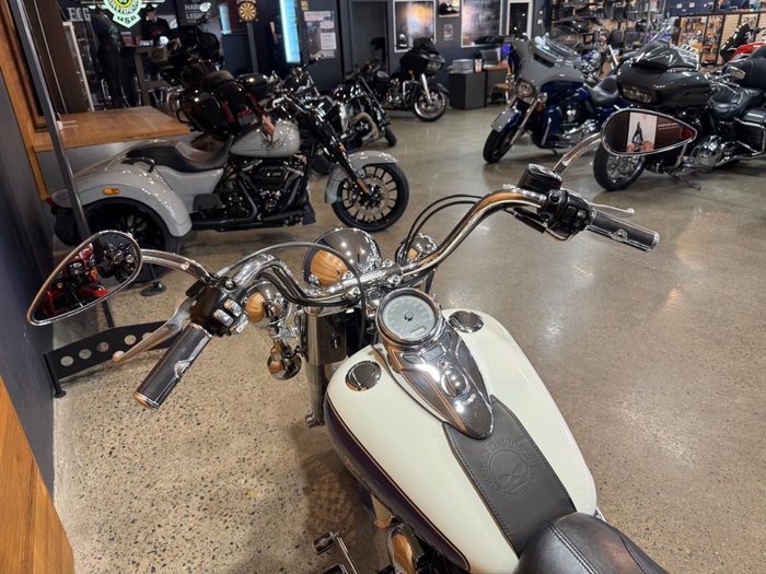 2009 Harley-davidson FLSTC HERITAGE SOFTAIL CLASSIC Purple