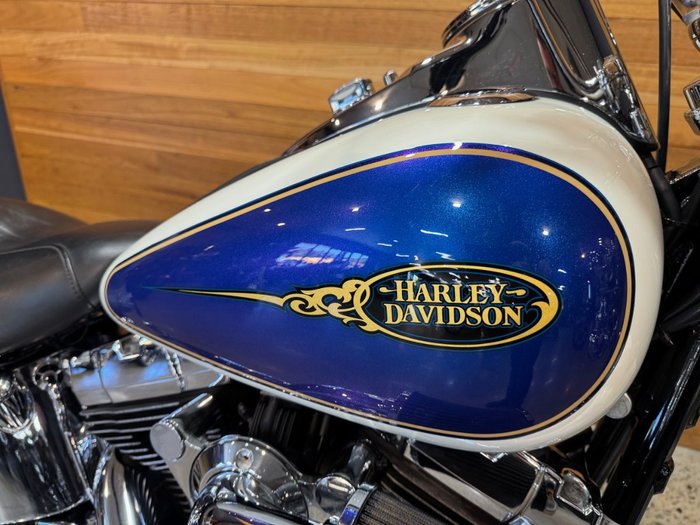 2009 Harley-davidson FLSTC HERITAGE SOFTAIL CLASSIC Purple