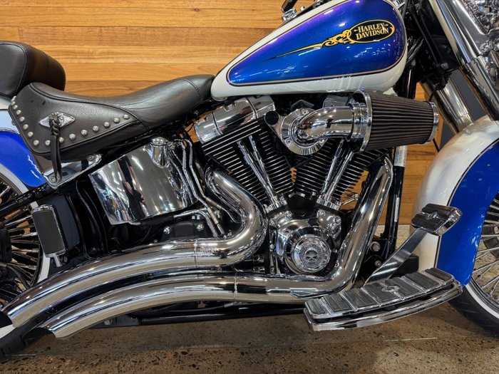 2009 Harley-davidson FLSTC HERITAGE SOFTAIL CLASSIC Purple