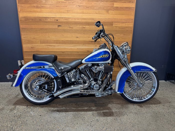 2009 Harley-davidson FLSTC HERITAGE SOFTAIL CLASSIC Purple
