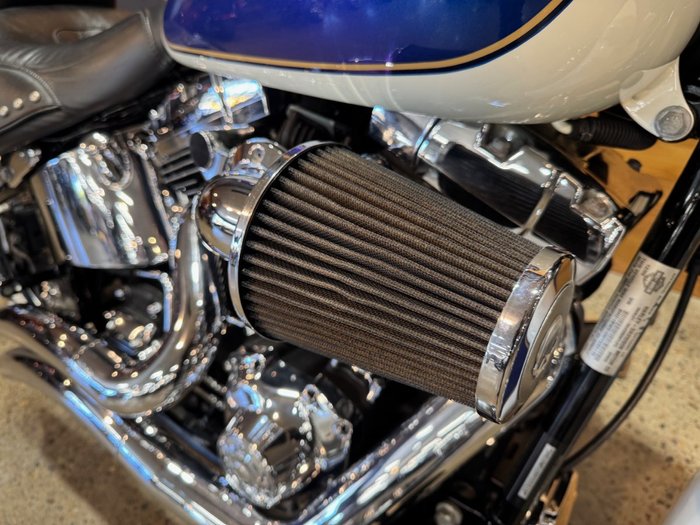 2009 Harley-davidson FLSTC HERITAGE SOFTAIL CLASSIC Purple