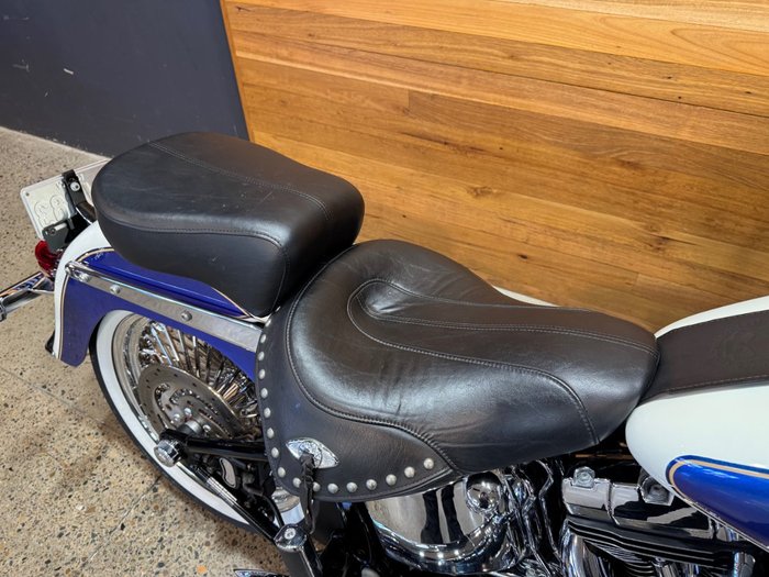 2009 Harley-davidson FLSTC HERITAGE SOFTAIL CLASSIC Purple