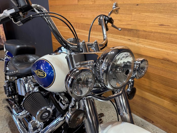2009 Harley-davidson FLSTC HERITAGE SOFTAIL CLASSIC Purple