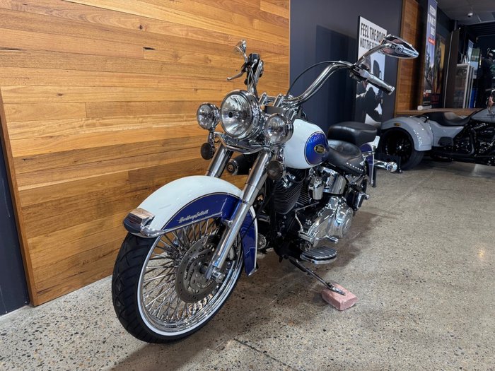 2009 Harley-davidson FLSTC HERITAGE SOFTAIL CLASSIC Purple
