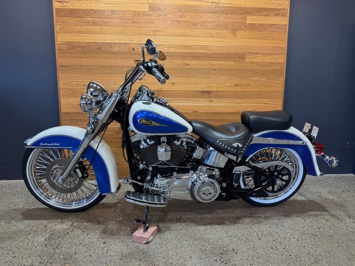 2009 Harley-davidson FLSTC HERITAGE SOFTAIL CLASSIC Purple