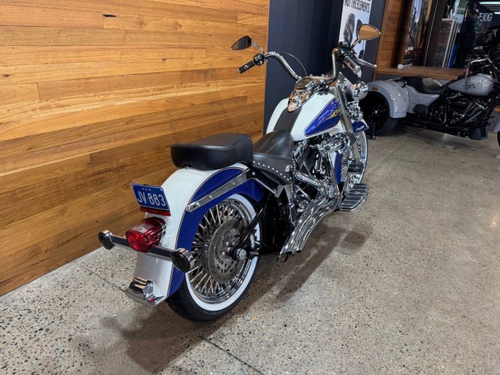 2009 Harley-davidson FLSTC HERITAGE SOFTAIL CLASSIC Purple