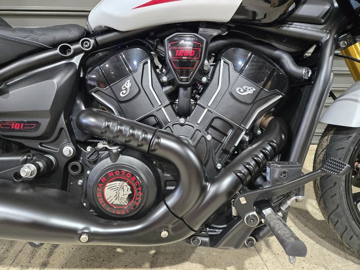 2025 Indian SCOUT 101 WHITE