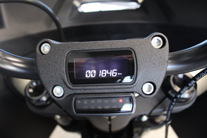 2024 Harley-davidson FXLRST LOW RIDER ST (117) billiard gray