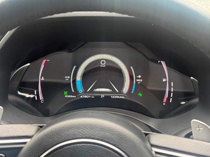 2021 GWM Ute Cannon-X