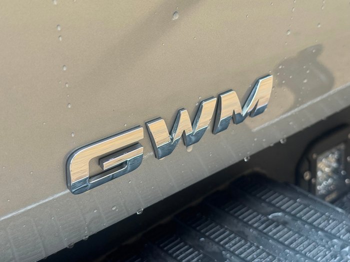 2021 GWM Ute Cannon-X