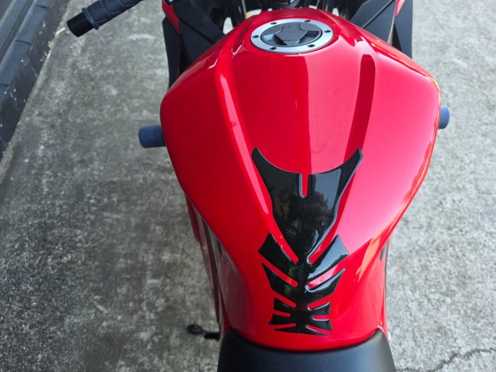 2016 Kawasaki NINJA 300 RED