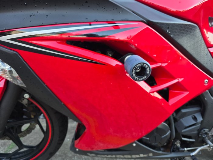 2016 Kawasaki NINJA 300 RED