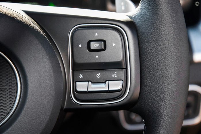 2025 GWM Cannon Vanta