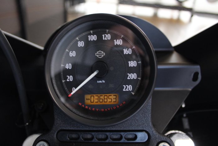 2019 Harley-davidson XL1200NS IRON 1200