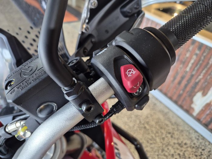 2025 Ducati Desert X Discovery