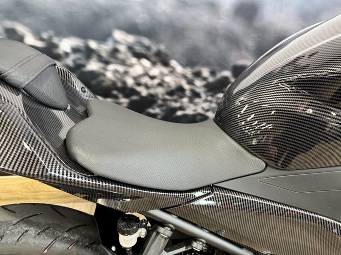 2019 Kawasaki NINJA 400 GREEN