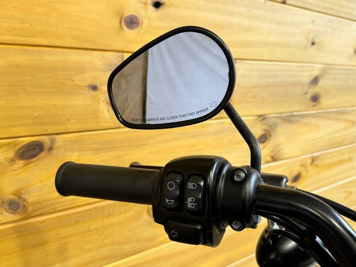 2017 Harley-davidson XL883N IRON 883 BROWN