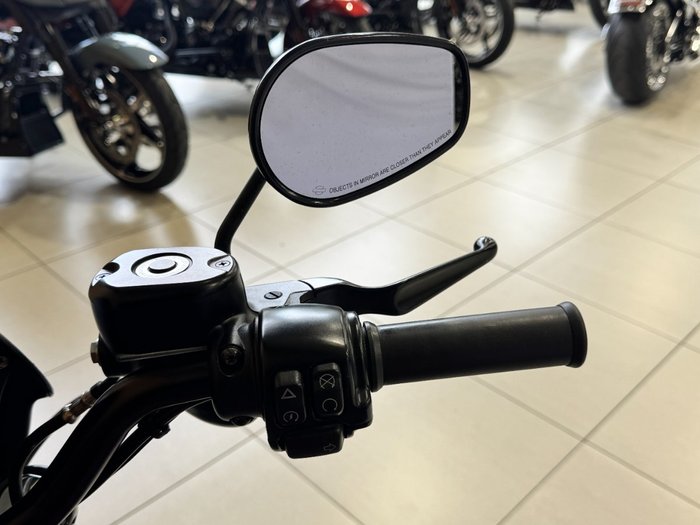 2017 Harley-davidson XL883N IRON 883 BROWN