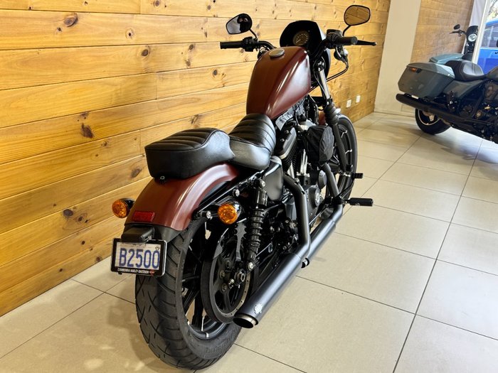 2017 Harley-davidson XL883N IRON 883 BROWN