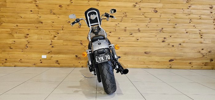 2017 Harley-davidson FXDB STREET BOB Silver