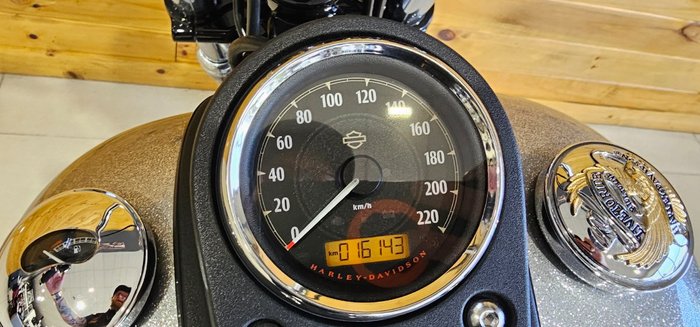 2017 Harley-davidson FXDB STREET BOB Silver
